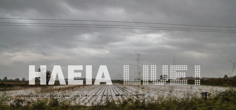 Ηλεία: «Πνίγηκε» η Βουπρασία - Σε απόγνωση οι αγρότες - Media