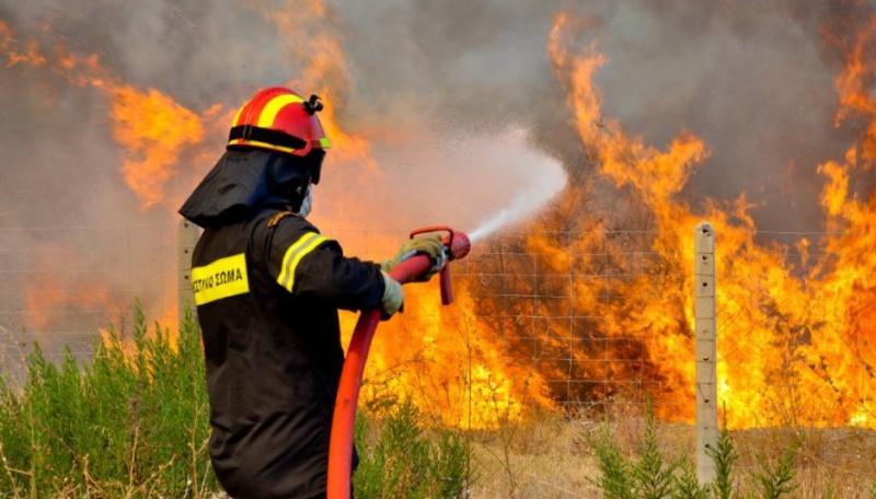 Υπό έλεγχο η πυρκαγιά στον Βαρνάβα Αττικής.  - Media