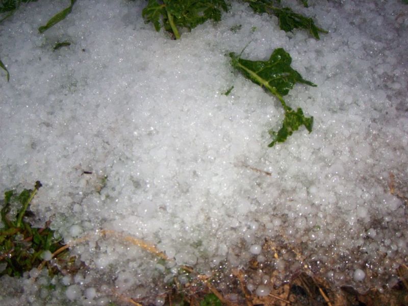 «Χαλάει» ο καιρός - Θυελλώδεις βροχές και χαλάζι - Media