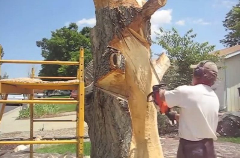 Σαμικό Ηλείας: 86χρονος βρήκε φριχτό θάνατο από αλυσοπρίονο - Media