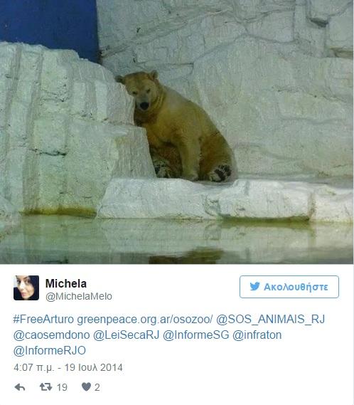 Βρέθηκε το πιο έξυπνο είδος αρκούδας - Media