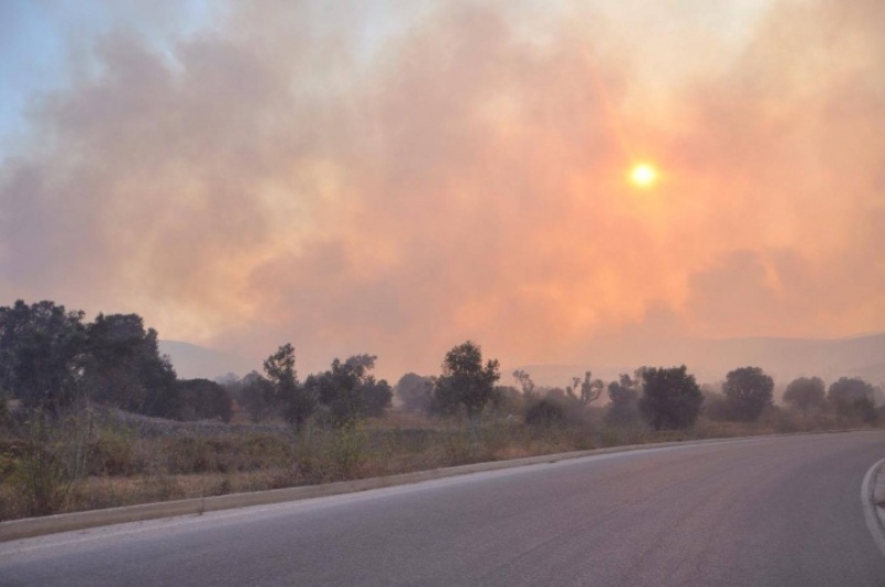 Σκηνές φρίκης: Πρόσφυγας αυτοπυρπολείται στη Χίο (Video, σκληρές εικόνες) - Media