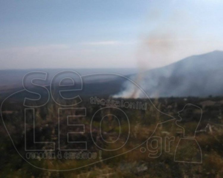Σε εξέλιξη δασική πυρκαγιά στην Περιστερά Θεσσαλονίκης (Photos) - Media