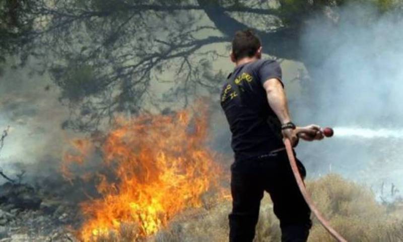 ΤΩΡΑ: Σε εξέλιξη δασική πυρκαγιά στο Καλαμίτσι Λευκάδας - Media