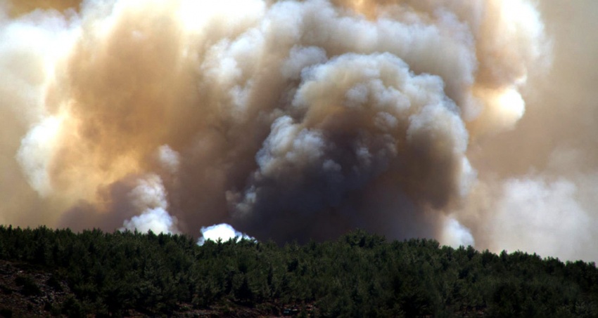 Εκτεταμένες πυρκαγιές στην Αυστραλία εν μέσω ακραίου κύματος καύσωνα	 - Media