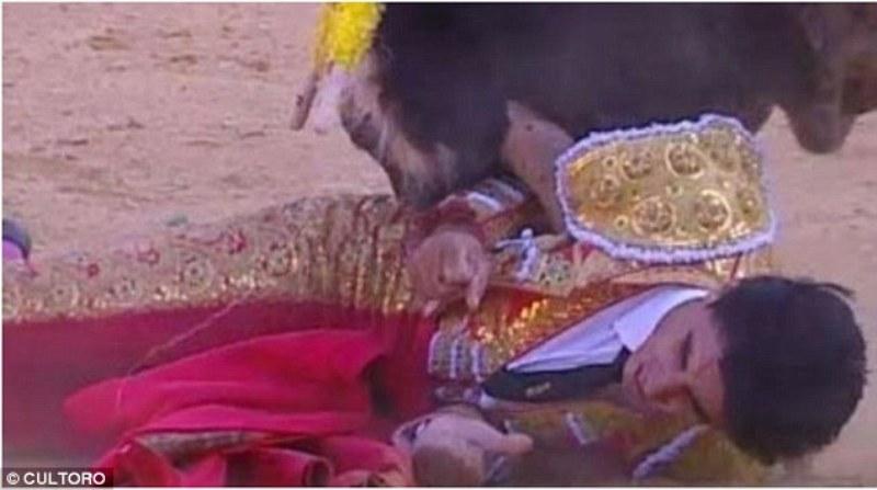 Τρόμος σε ταυρομαχίες: Διάσημος ταυρομάχος έπεσε νεκρός μετά από επίθεση του ταύρου (Video-Photos) - Media