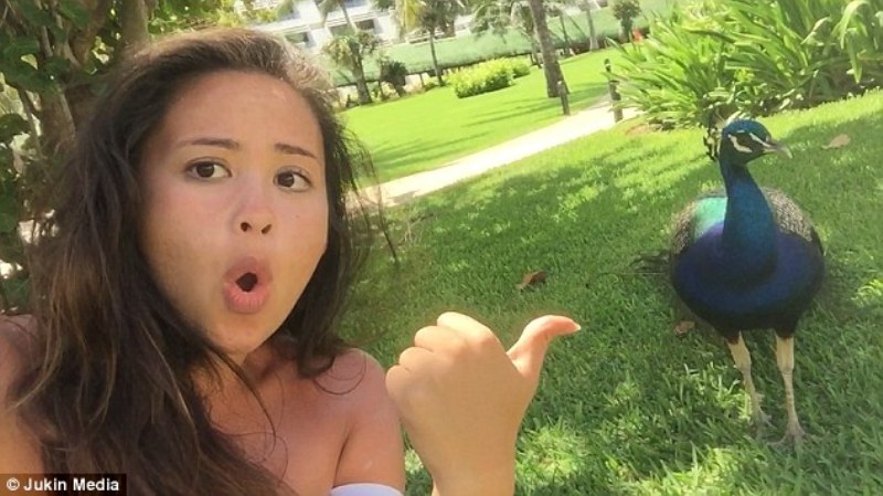 Το παγώνι βαρέθηκε να τη βλέπει να βγάζει selfies μπροστά του, τσαντίστηκε και της επιτέθηκε με βία (Video) - Media