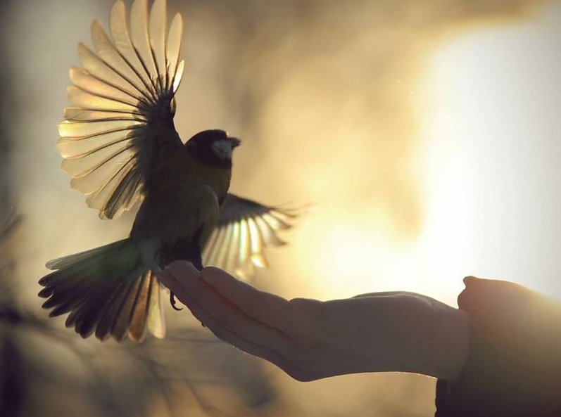 Είναι αυτή η στιγμή που η ψυχή ενός άνδρα εγκαταλείπει το σώμα του; (Photo) - Media