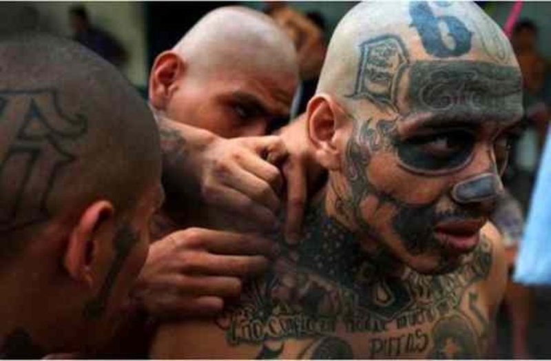 Μεξικό: Έμποροι ναρκωτικών ακρωτηρίασαν «κλέφτες» του εμπορεύματός τους για παραδειγματισμό (Video - Προσοχή! Πολύ σκληρές εικόνες)  - Media