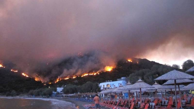 Μετά τις πυρκαγιές: Μισό εκατομμύριο ευρώ θα δώσει το κράτος στους μαστιχοπαραγωγούς, με μορφή επένδυσης - Media