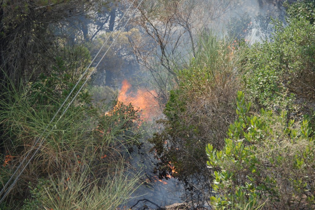 Συνελήφθη 43χρονος για τη φωτιά στις Αιγές Ακράτας - Media