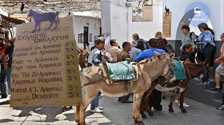 Θύματα του ΣΔΟΕ τα… γαϊδουράκια της Λίνδου – Τους επέβαλαν πρόστιμα - Media