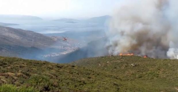 Μαίνεται η μάχη με τις φλόγες στην Κάρυστο - «Εχθρός» οι δυνατοί άνεμοι - Media
