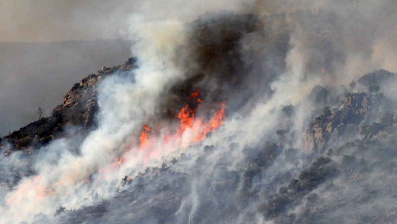 Γαλλία: Στις φλόγες και τα Πυρηναία – Εκκενώνουν κατοικημένες περιοχές   - Media