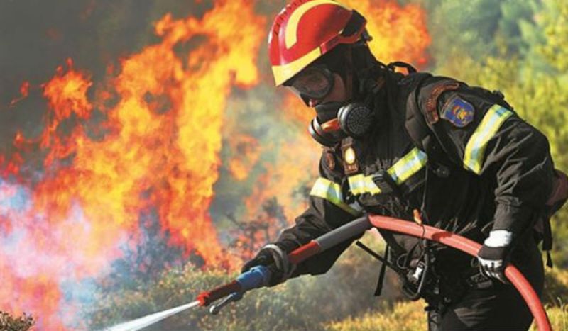 Πυροσβέστης έχασε τη ζωή του σε κατάσβεση πυρκαγιάς στη Βοιωτία - Media