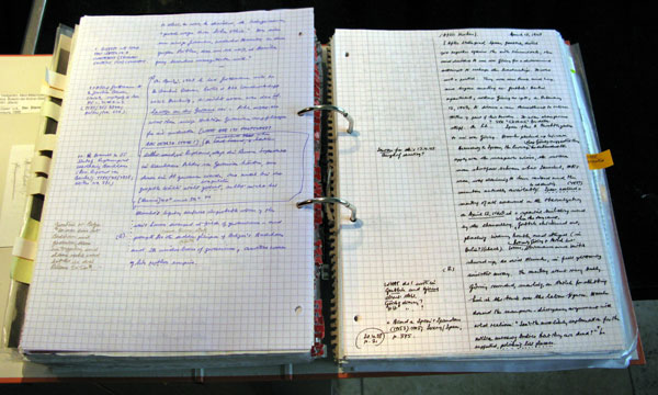 Βρέθηκε το ανατριχιαστικά λεπτομερές ημερολόγιο του Χάινριχ Χίμλερ - Κατέγραφε τα πάντα - Media