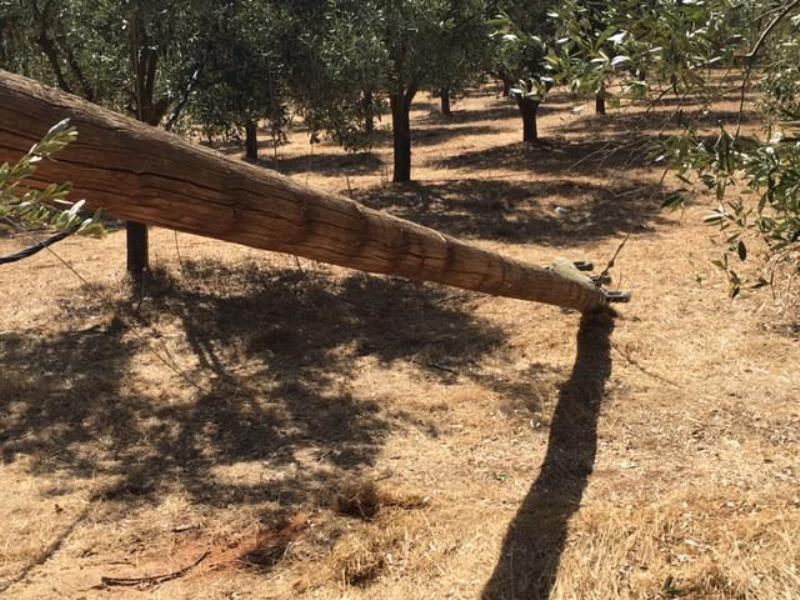 Αγρίνιο: 41χρονος έχασε τη ζωή του πέφτοντας από κολώνα της ΔΕΗ (Photos) - Media