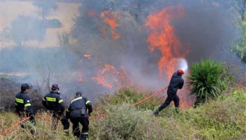 Ένας 28χρονος νεκρός σε άγρια συμπλοκή στη Σκάλα Λακωνίας - Media