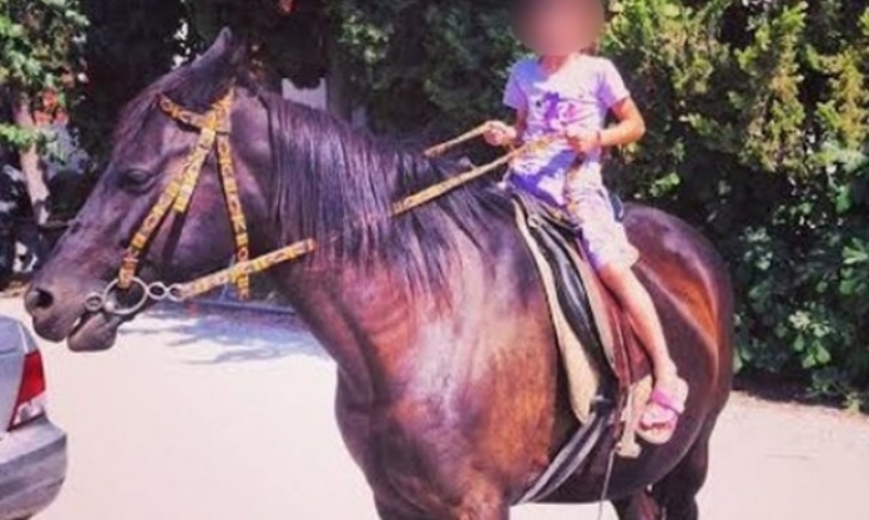 Σε νοσοκομείο 9χρονος από τα Καλάβρυτα - Επεσε από άλογο - Media