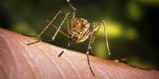 Πόσα είναι τα κρούσματα ελονοσίας και σε ποιες περιοχές; - Ερώτηση από τον Πανελλήνιο Ιατρικό Σύλλογο - Media
