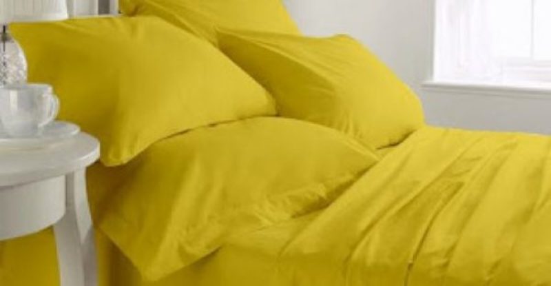 Διώξτε τους κοριούς από το κρεβάτι με πράσινο και κίτρινο χρώμα! - Media