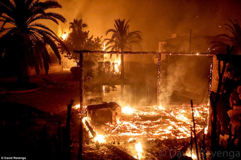Μεγάλη δασική πυρκαγιά στη Βαλένθια - Απομακρύνθηκαν 1.000 άτομα (Photos + Video) - Media