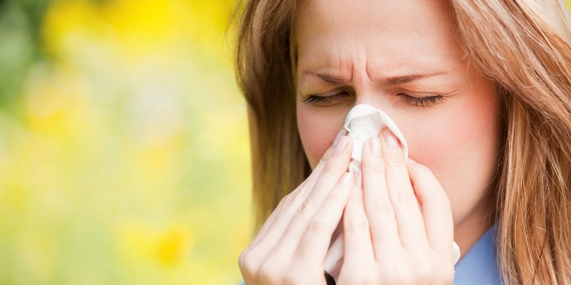 Σε έξαρση οι εποχικές αλλεργίες - Η «ύπουλη» σχέση τους με το άσθμα - Media