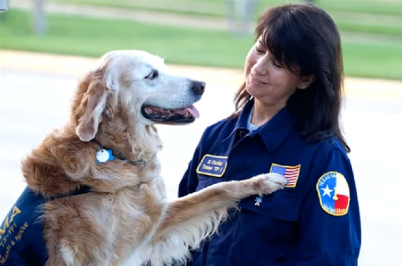 Θανατώθηκε το τελευταίο σκυλί – διασώστης που έσωζε εγκλωβισμένους από τους Δίδυμους Πύργους (Video) - Media