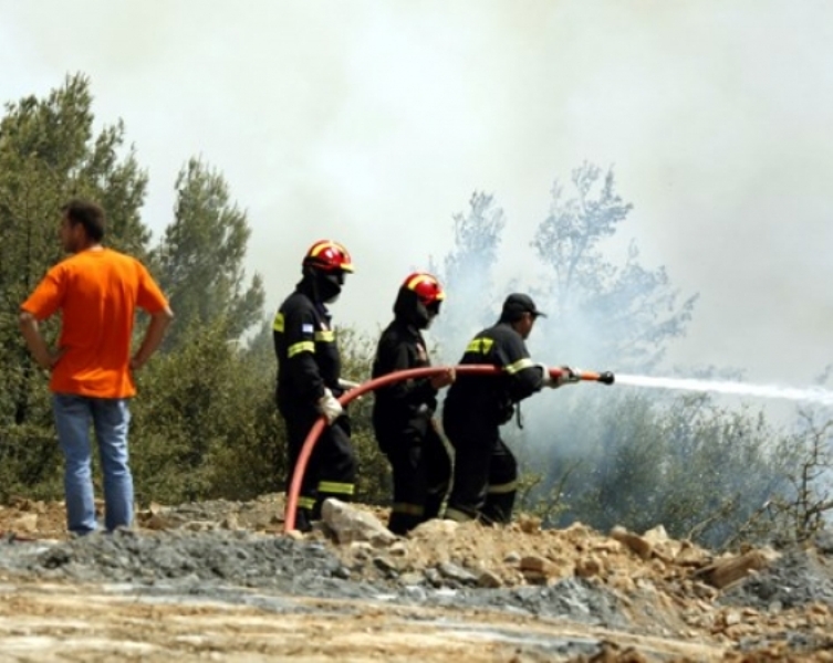Κρήτη: Μεγάλη φωτιά ξέσπασε σε δασική έκταση στον Άγιο Μάμα - Media
