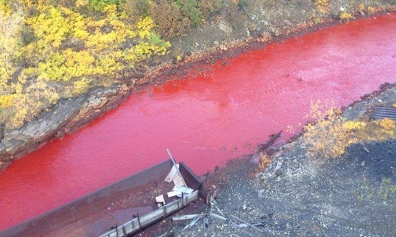 Το ποτάμι στη Ρωσία που βάφτηκε κόκκινο - Media