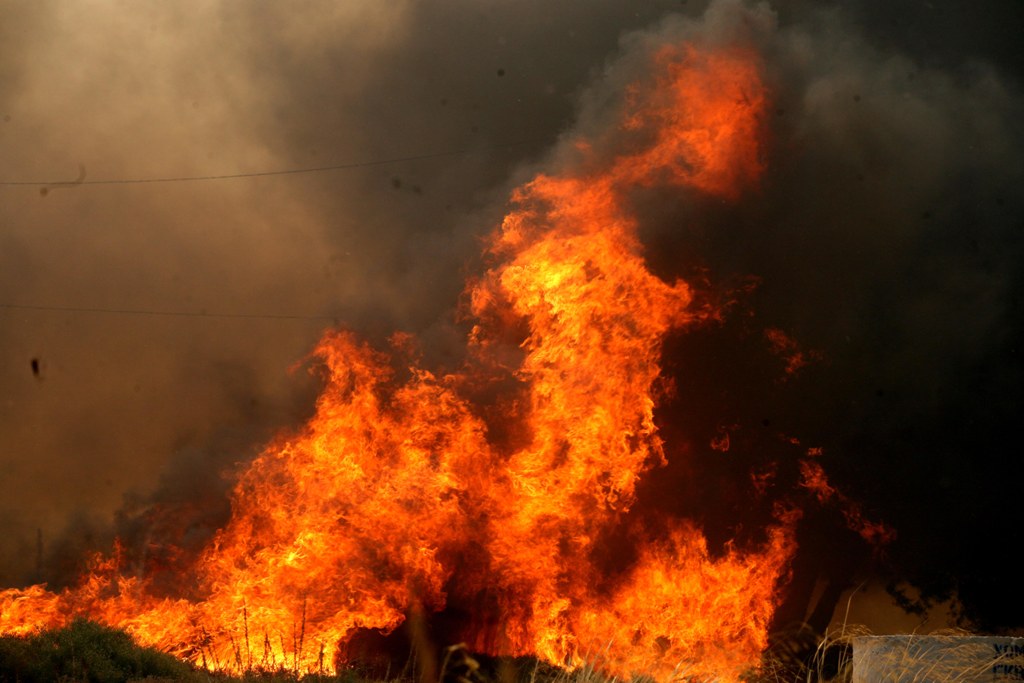 Δασική πυρκαγιά στο Πικέρμι Αττικής - Media