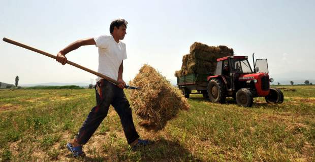Ποια είναι τα κριτήρια πιστοποίησης για νεοεισερχόμενους αγρότες - Media