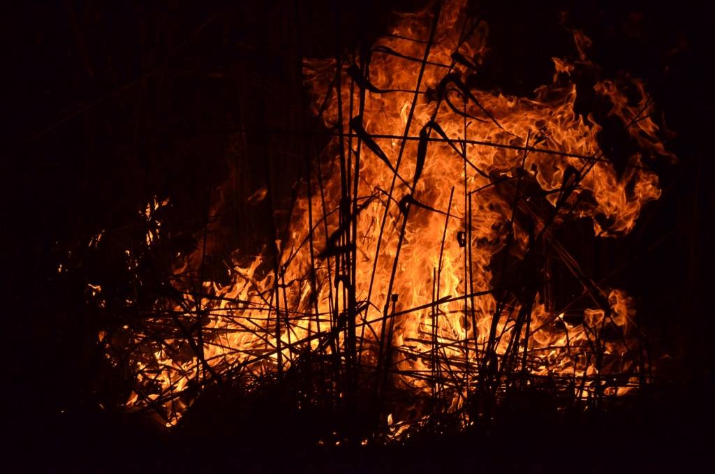 Οι επιστήμονες προειδοποιούν: Μεγάλος κίνδυνος για ακραίες πυρκαγιές στην Ελλάδα - Media