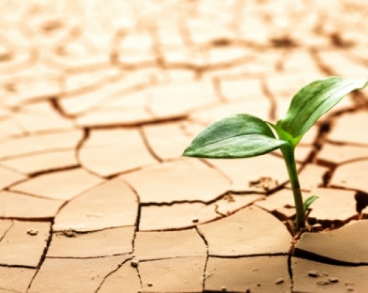 Μετά τις δεήσεις, λιτανεία στην Κρήτη για να φέρουν τη βροχή  (ηχητικό) - Media