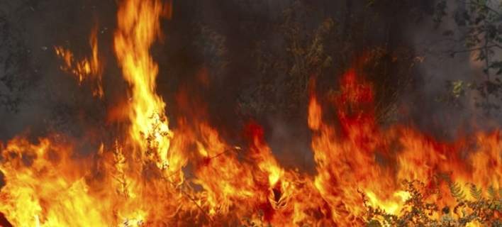 Ηράκλειο: Συνέλαβαν τον «Νέρωνα» που είχε κατακάψει τον νομο – Έβαλε 9 φωτιές σε 4 μέρες - Media