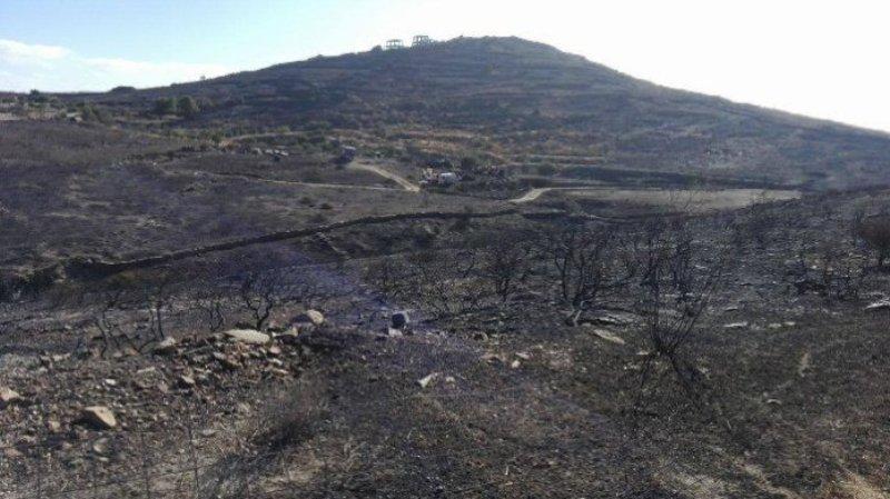 Εικόνες βιβλικής καταστροφής από την πυρκαγιά στη Σάμο - Media