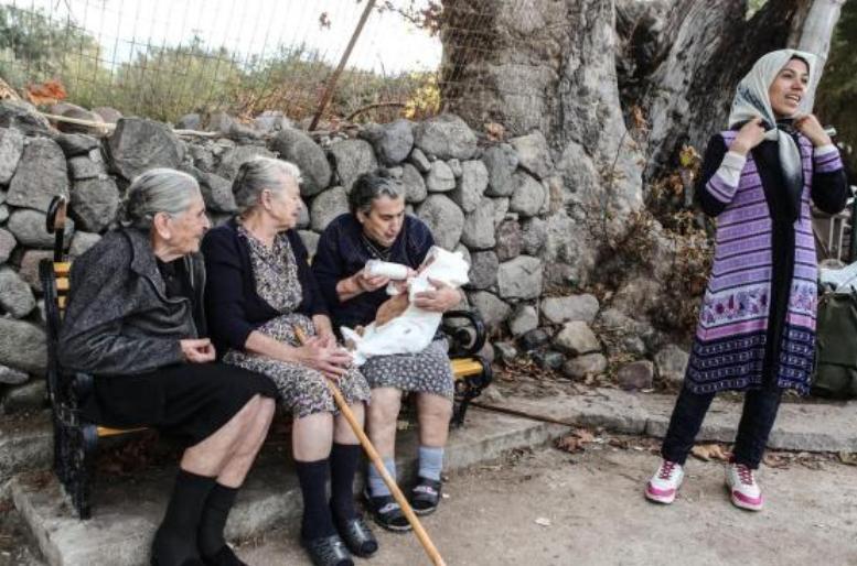 Η ελληνική υποψηφιότητα για το Νόμπελ Ειρήνης 2016 - Media