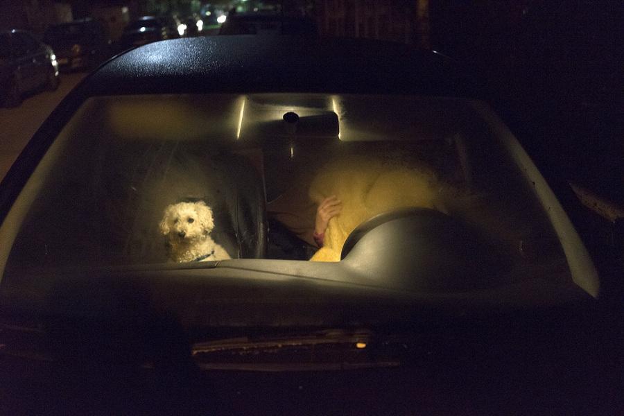 Σεισμός στα Ιωάννινα: Κοιμήθηκε στο αυτοκίνητό του παρέα με τον σκύλο! (Photos) - Media