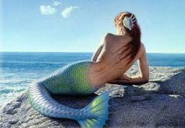 Μυστήριο με νεκρή «γοργόνα»- Το φριχτό πλάσμα που ξέβρασε η θάλασσα (Σκληρές Εικόνες- Video) - Media