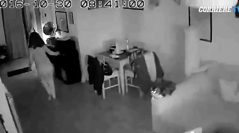 Τα 6,5 Ρίχτερ στην Ιταλία δεν… ξεκούνησαν τη γάτα (Video) - Media