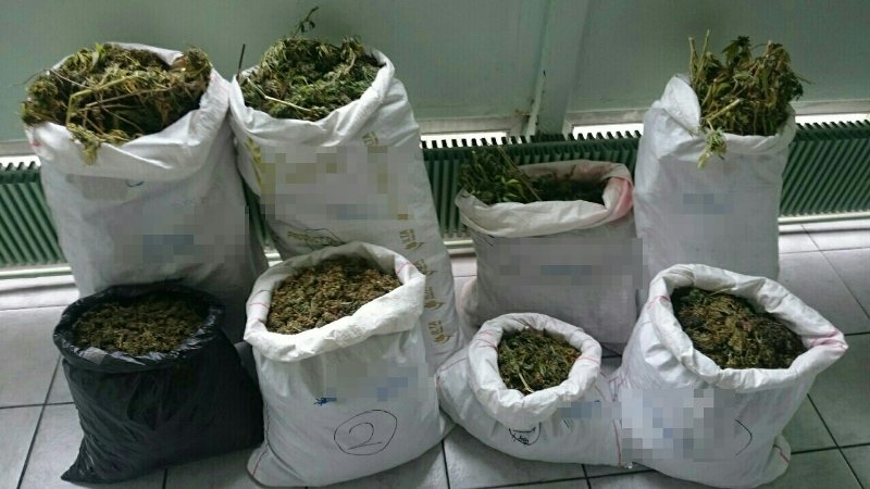 Ιωάννινα: Κατασχέθηκαν 450 κιλά κάνναβης σε αστυνομικά μπλόκα - Media