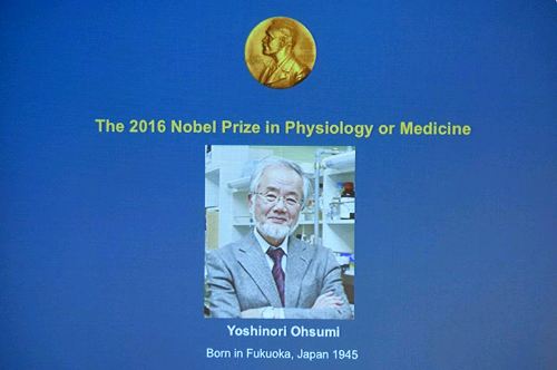 Στον Ιάπωνα Γιοσινόρι Οσούμι το Νόμπελ Ιατρικής 2016 (Photo - Video) - Media