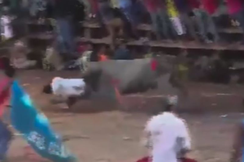 Πάλεψε με τον ταύρο για να πληρωθεί από το κοινό - Του ξέσκισε το πρόσωπο αλλά κατάφερε να φύγει όρθιος από την αρένα (Photos - Video) - Media