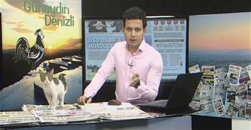 Το νέο viral βίντεο είναι από την Τουρκία: Γάτα κάνει…παρέμβαση σε τηλεοπτική εκπομπή - Media