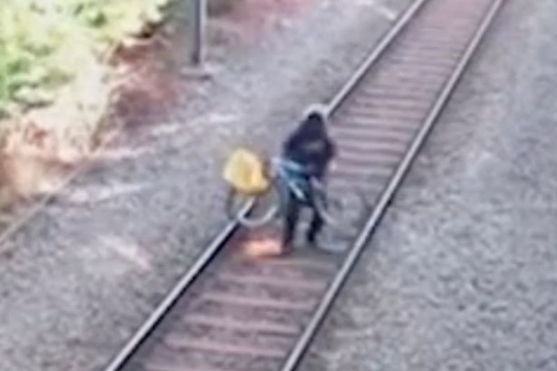 Τον έσωσε από του Χάρου τα δόντια...(Video) - Media