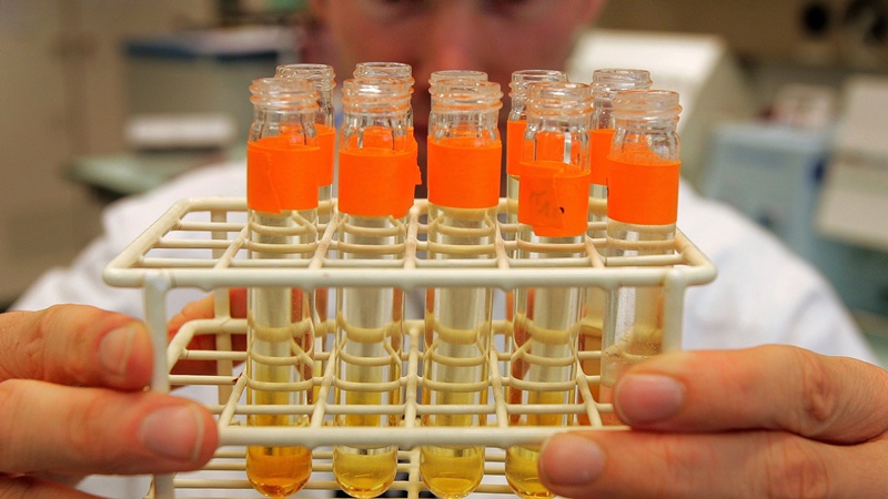 Η WADA «απαντά» στους χάκερ: Αλλοίωσαν τα στοιχεία που υπέκλεψαν - Media