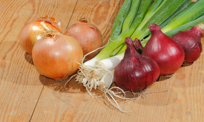 Τα κρεμμύδια προστατεύουν από τον καρκίνο – Δείτε πώς! - Media