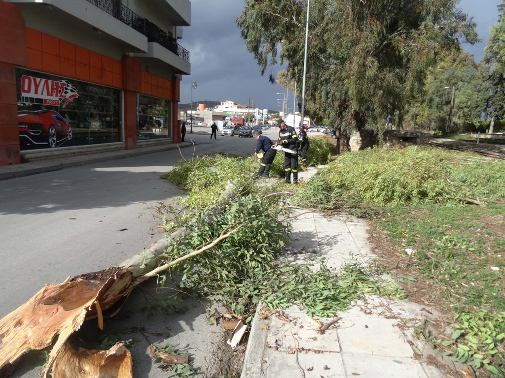 Αττική: Πάνω από 70 κλήσεις στην Πυροσβεστική για κοπή δέντρων - Media