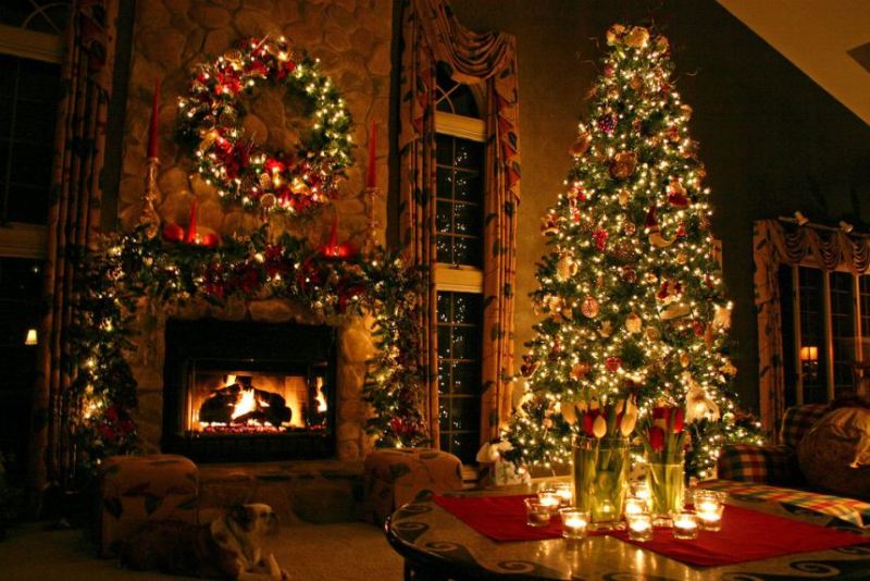 Το ακριβότερο χριστουγεννιάτικο δέντρο του κόσμου κοστίζει 14 εκατ. ευρώ (photo+video) - Media