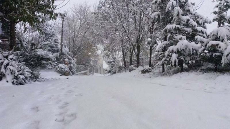 «Πολικές» θερμοκρασίες σε όλη τη χώρα - Χιονόπτωση και τοπικές νεφώσεις - Media